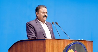  संघीय निजामती सेवा विधेयक प्रतिनिधिसभाबाट पारित 